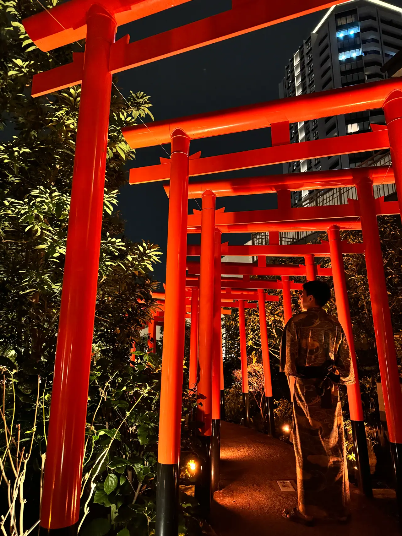 Vermilion torii posts glow against black foliage at night, a single figure passing between them.