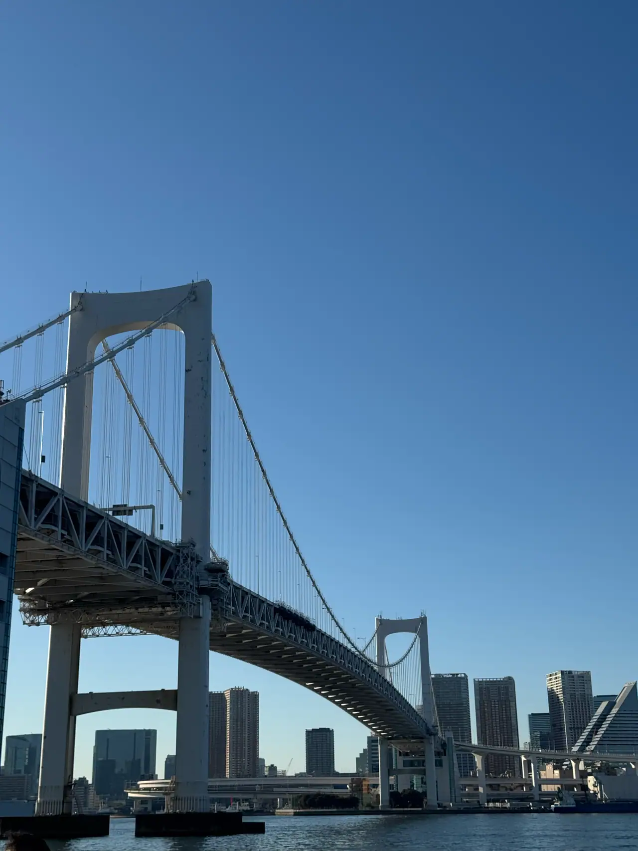 The Rainbow Bridge sweeps overhead, its suspension cables fanning down toward the far shore.