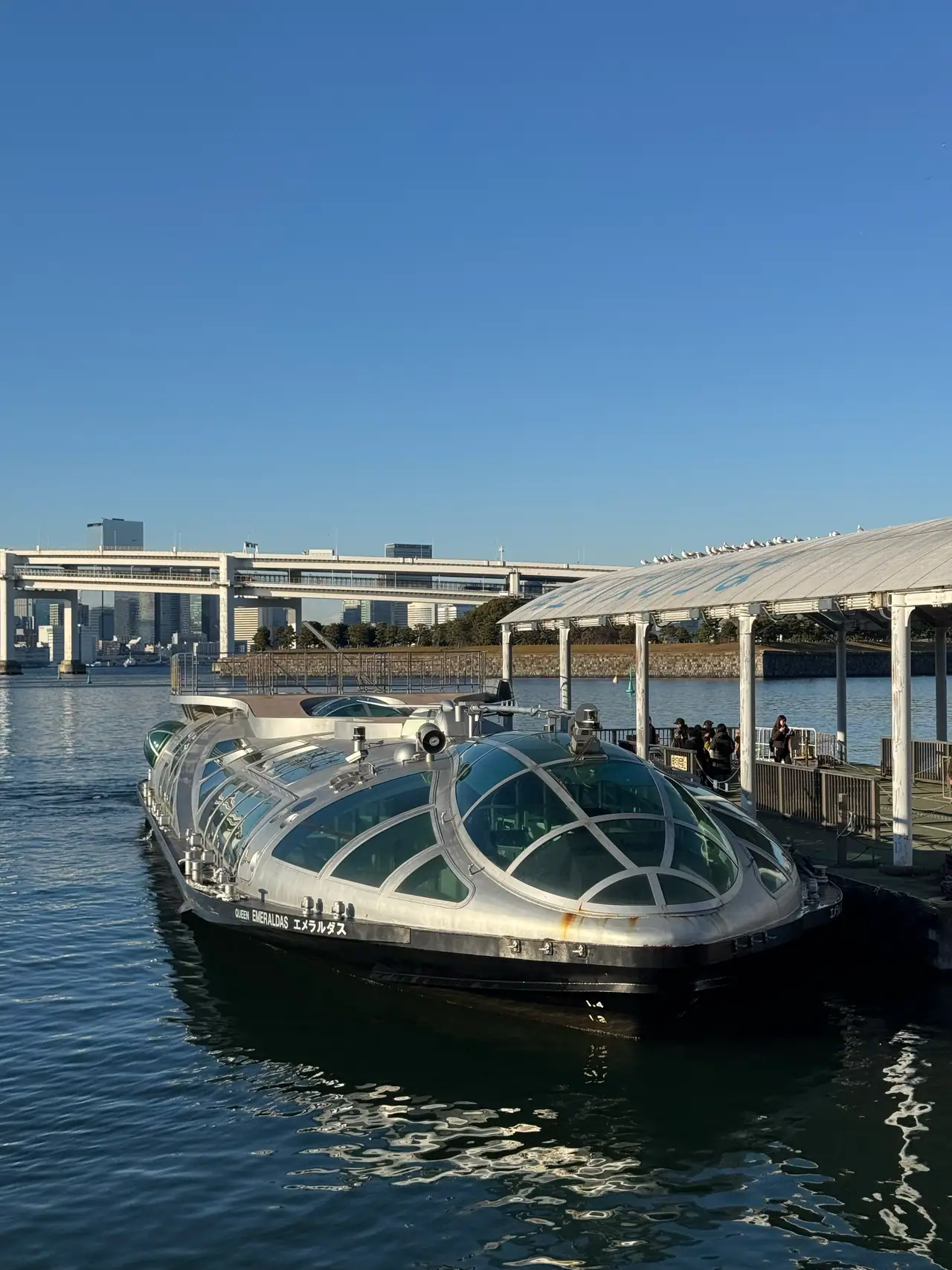 A silver water bus with a domed glass roof waits at a pier beneath an elevated road.