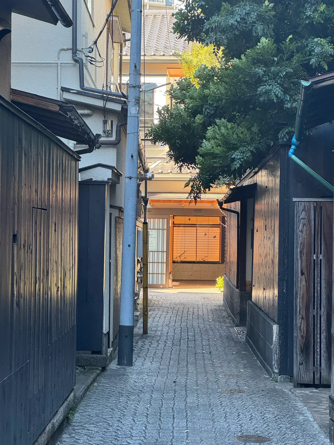 A paved alley runs between dark wooden houses toward a bright green tree.