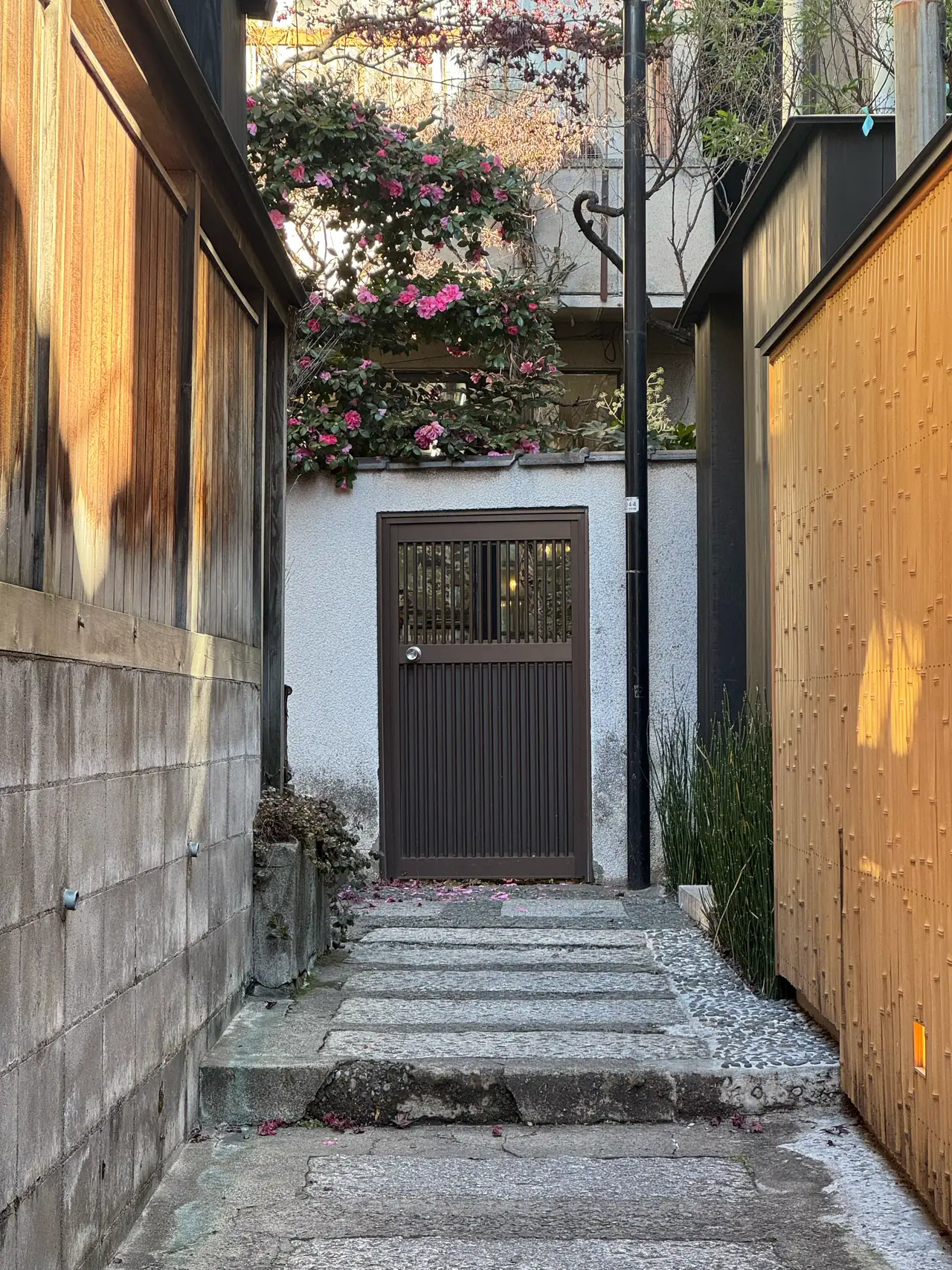 Stone steps climb between plaster and timber walls to a dark wooden gate, pink flowers spilling over the wall above.