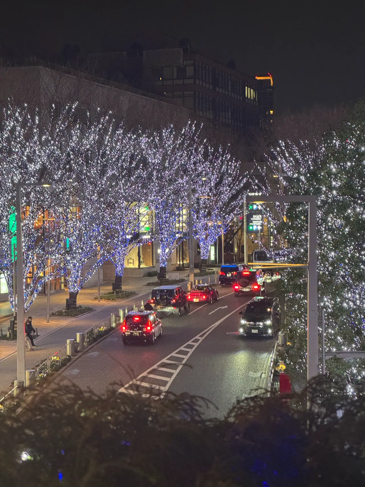 Trees strung with blue lights arch over a road of moving traffic at night.
