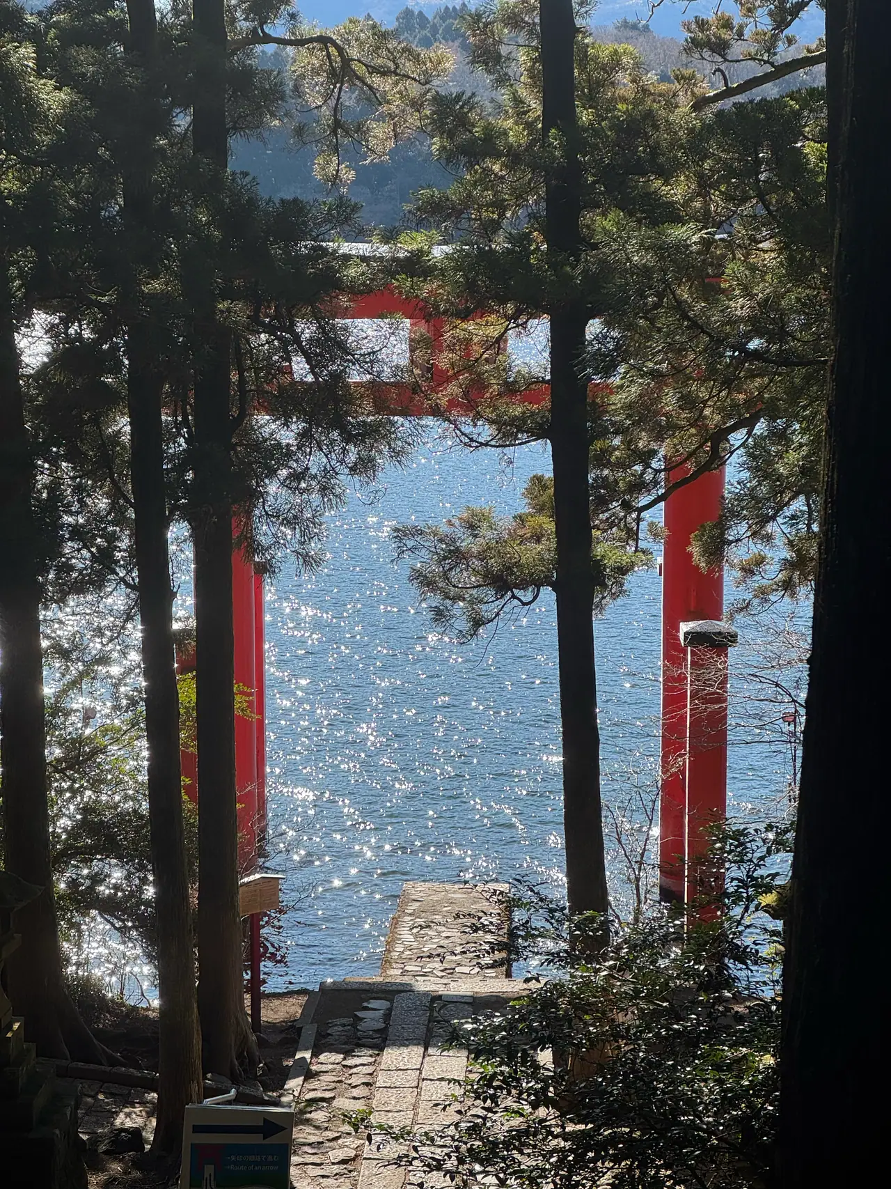 A vermilion torii stands in the lake, seen between tall cedar trunks over glittering water.
